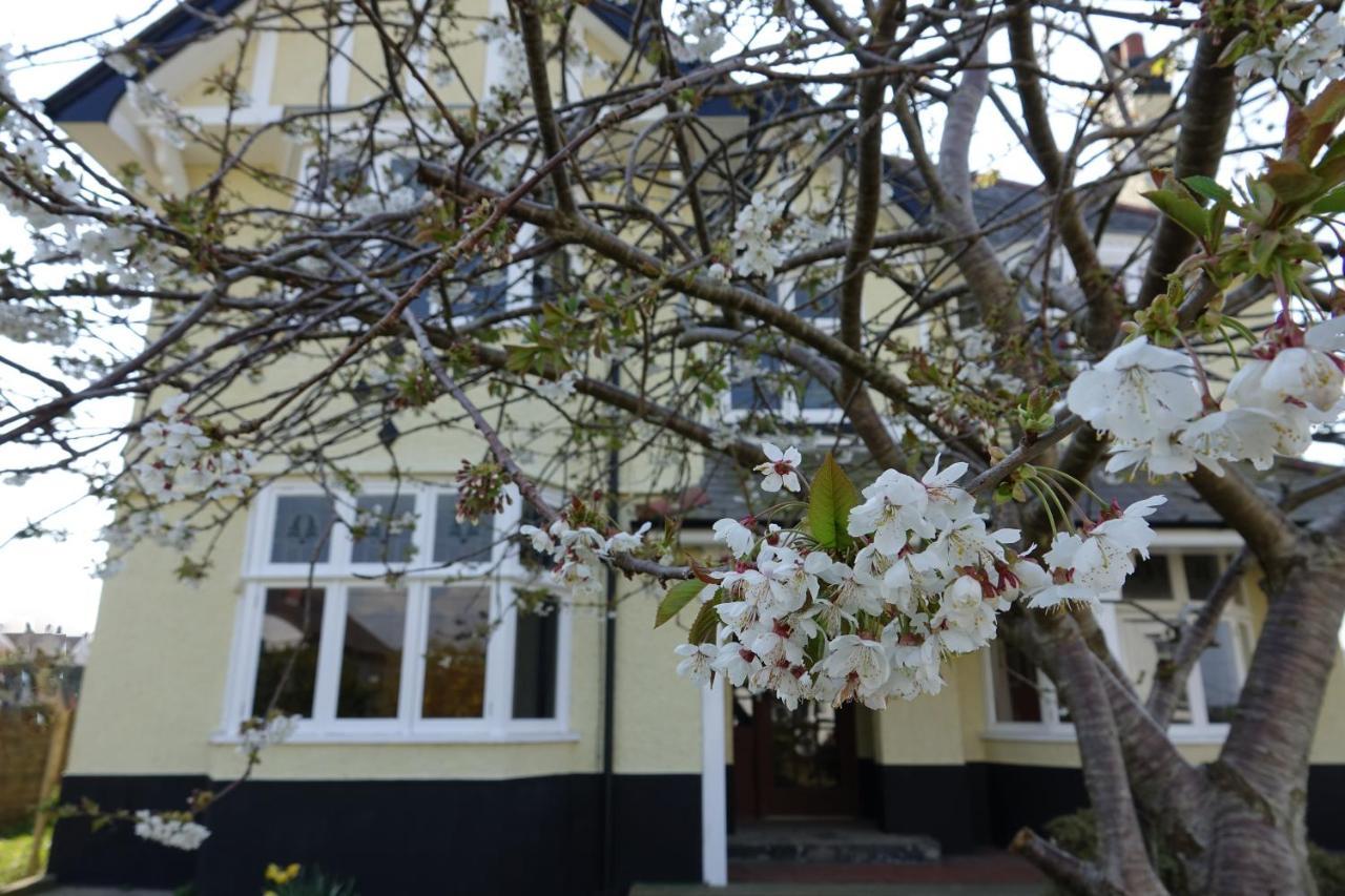 The Old Sea Captain'S House, Aberporth Exterior foto